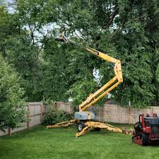 Best Arborist Consultation Services  in South Huntington, NY