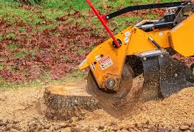 Best Tree Health Inspection  in South Huntington, NY