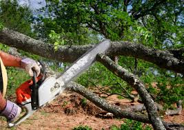 Best Firewood Processing and Delivery  in South Huntington, NY