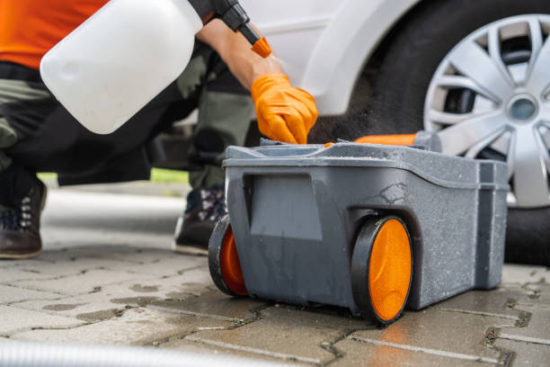 Best Tree Maintenance Programs  in South Huntington, NY